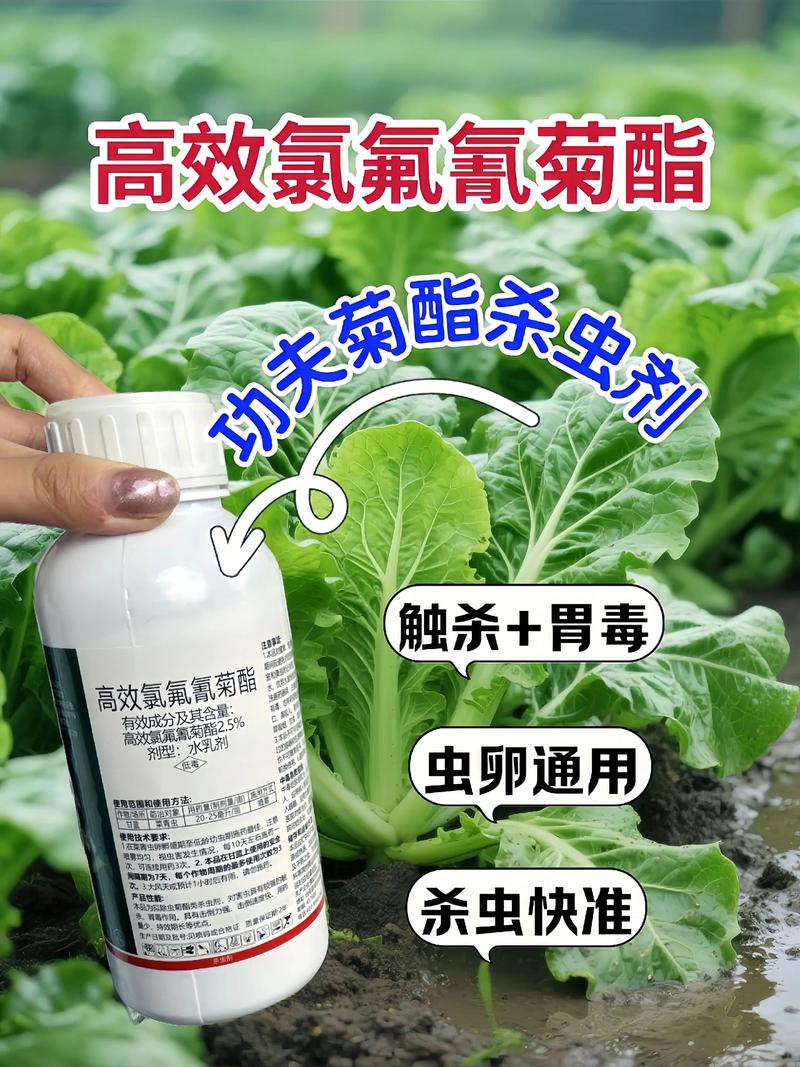 重庆代生中心:农药对供卵代生妈妈的危害